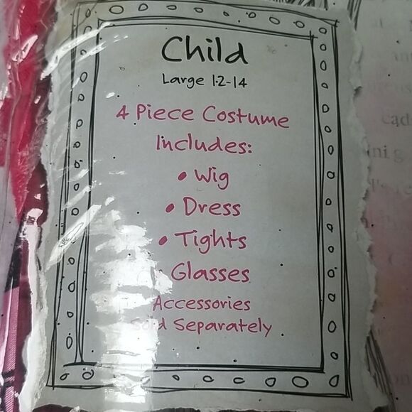 BRIAR BEAUTY NWOT COSTUME CHILD SZ LARGE 12-14 - Picture 2 of 5